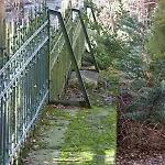 Sonnenstrahl