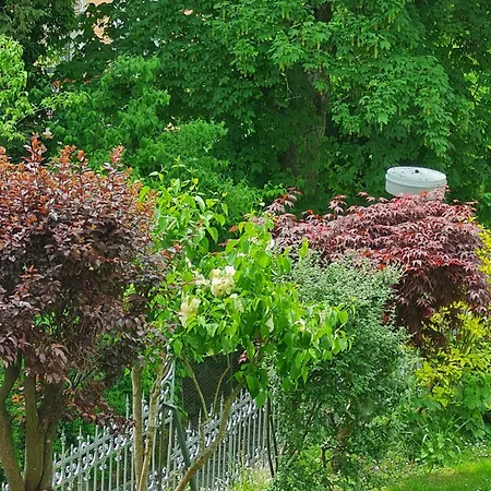 Sonnenstrahl Apartamento Mariánské Lázně