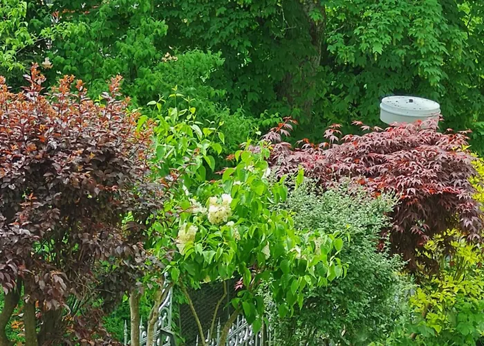 Sonnenstrahl Appartement Mariënbad
